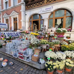 Kwiaciarnia Danusia - Danuta Płotka (Bytów )
