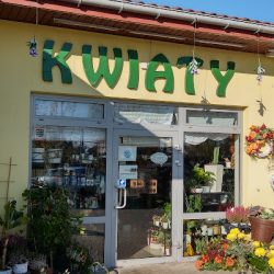 Kwiaciarnia Dawidy (Dawidy Bankowe )