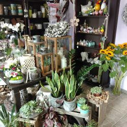 Kwiaciarnia Deco-flor Katarzyna Schichta (Dobrzeń Wielki en Merlo San Luis)