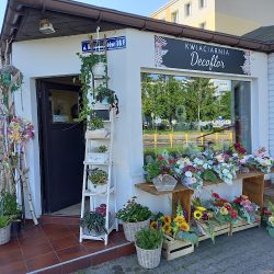 Kwiaciarnia Decoflor (Knurów )