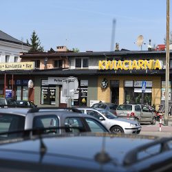 Kwiaciarnia Decomar (Lubaczów )