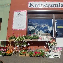 Kwiaciarnia Decor (Rynarzewo )