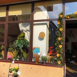 Kwiaciarnia Dom Kwiatów Kin Ko (Rzeszów )