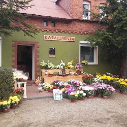Kwiaciarnia Donistyl Dominika Kurpik (Mikorzyn en Merlo San Luis)