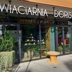 Kwiaciarnia Doris (Gdańsk )