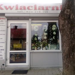 Kwiaciarnia Dorota Pawińska (Stąporków en Merlo San Luis)