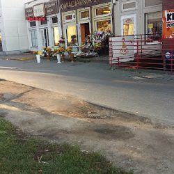 Kwiaciarnia Dracena - Poczta Kwiatowa Online Gorzów (Gorzów Wielkopolski )