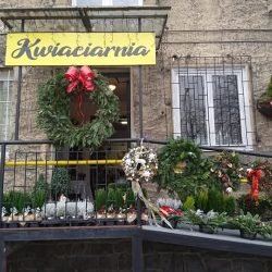 Kwiaciarnia Drago (Strzelin )
