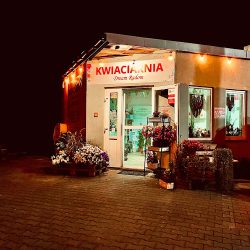 Kwiaciarnia Dream (Radom )