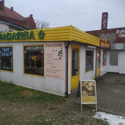Kwiaciarnia Dudek Piotr (Międzyrzecz )