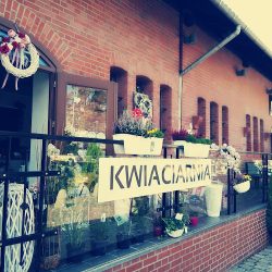 Kwiaciarnia Dworzec Pkp Opole (Opole )