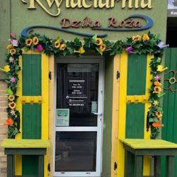 Kwiaciarnia Dzika Róża (Nowy Tomyśl en Merlo San Luis)