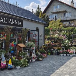 Kwiaciarnia Efekt Wow (Mogilany )