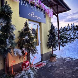 Kwiaciarnia Eflora-elżbieta Olekszyk (Potok Górny en Merlo San Luis)