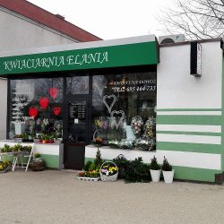 Kwiaciarnia Elania (Gdańsk )