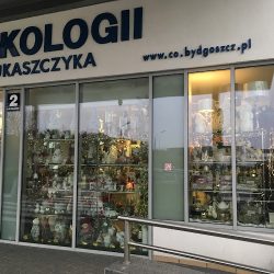 Kwiaciarnia Elflora Bydgoszcz (Bydgoszcz )