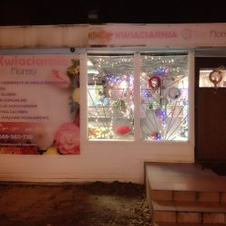Kwiaciarnia Esy Floresy Elentari (Sosnowiec )