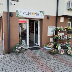Kwiaciarnia Eufloria Krzysztof Łabędź (Tarnów )