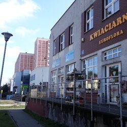 Kwiaciarnia Euroflora (Bydgoszcz )