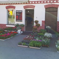 Kwiaciarnia Ewa - Ewa Mallek Paszylk (Sulęczyno )
