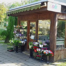 Kwiaciarnia Ewa Małota Kwiaty Wieńce (Tarnowskie Góry )