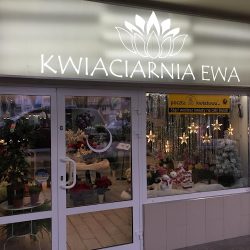 Kwiaciarnia Ewa - Ostrołęka (Ostrołęka )