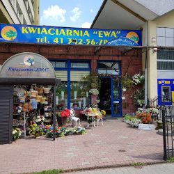 Kwiaciarnia Ewa. Trela Marek (Kielce )