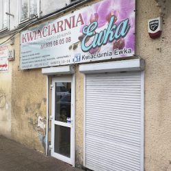 Kwiaciarnia Ewka (Gdańsk )
