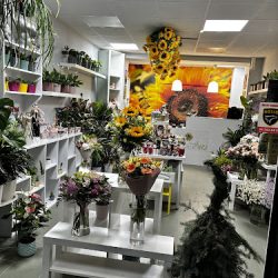 Kwiaciarnia Fabryka Słonecznika (Gdańsk )