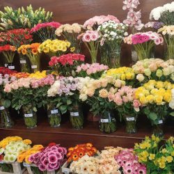 Kwiaciarnia Family Flowers - Narcyzowa 1 (Gdynia )