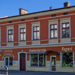 Kwiaciarnia Fegari (Sanok )
