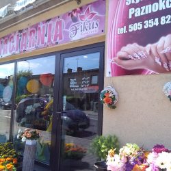 Kwiaciarnia Fikus (Katowice )