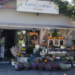 Kwiaciarnia Finezja (Kobiernice )