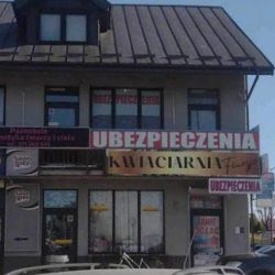 Kwiaciarnia Finezja Łęczna (Łęczna )