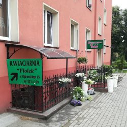 Kwiaciarnia Fiołek (Leszno en Merlo San Luis)