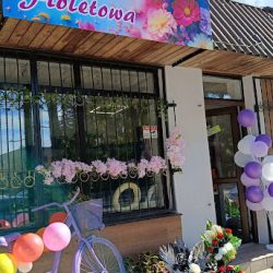 Kwiaciarnia Fioletowa (Leszno en Merlo San Luis)