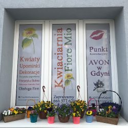 Kwiaciarnia Fiore Mio (Gdynia )