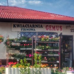 Kwiaciarnia Firmowa Gemus (Bydgoszcz )