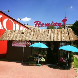 Kwiaciarnia „flaming” (Sosnowiec )