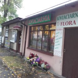 Kwiaciarnia Flora (Lublin )