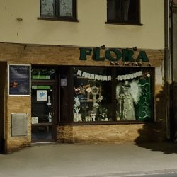 Kwiaciarnia Flora (Rawicz en Merlo San Luis)