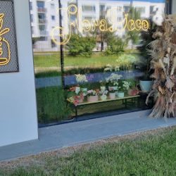 Kwiaciarnia Floradeco, Strzeszyn (Poznań en Merlo San Luis)
