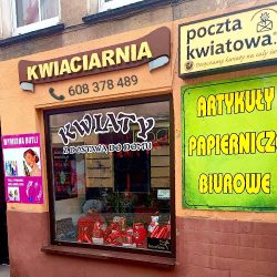 Kwiaciarnia Floralvibes Bystrzyca Kł. (Bystrzyca Kłodzka )
