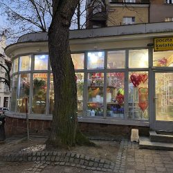 Kwiaciarnia Floraroom Storczyk (Sopot )
