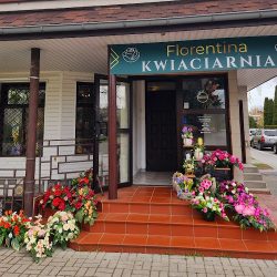 Kwiaciarnia Florentina (Zamość en Merlo San Luis)