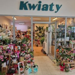 Kwiaciarnia Flores Tomasz Wilk (Opole )