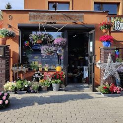Kwiaciarnia Flori-studio Anna Piosik (Poznań en Merlo San Luis)