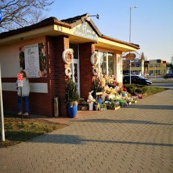 Kwiaciarnia Flori (Opole )