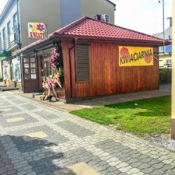 Kwiaciarnia Floris (Kozienice )