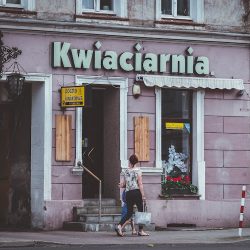 Kwiaciarnia Florista (Zielona Góra )